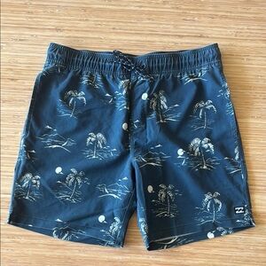 Billabong Blue Board Shorts Tropical Print Quick-Dry